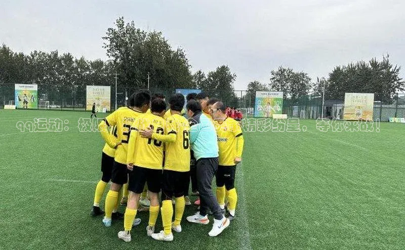 威廉希尔足球数据