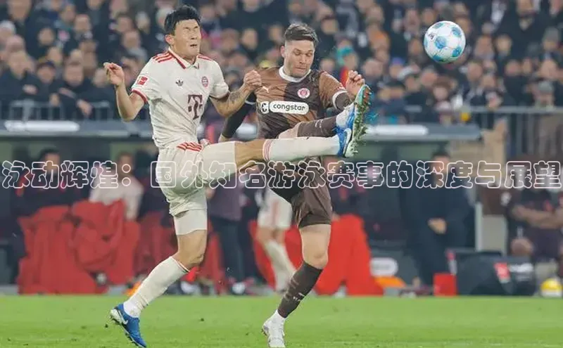 泳动辉煌：国外知名游泳赛事的深度与展望
